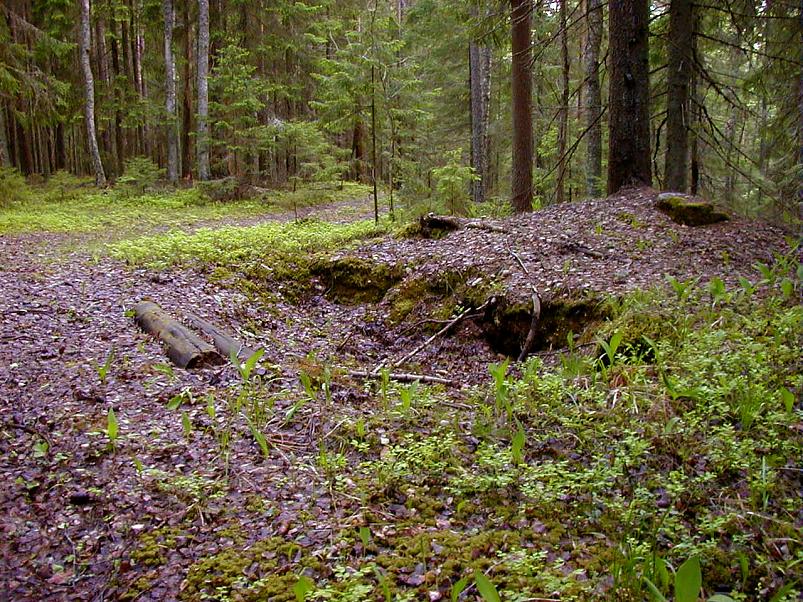 K��pa j�el mais 2004