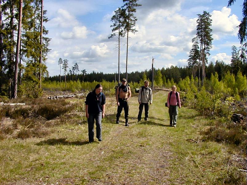 K��pa j�el mais 2004