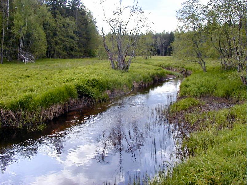 K��pa j�el mais 2004