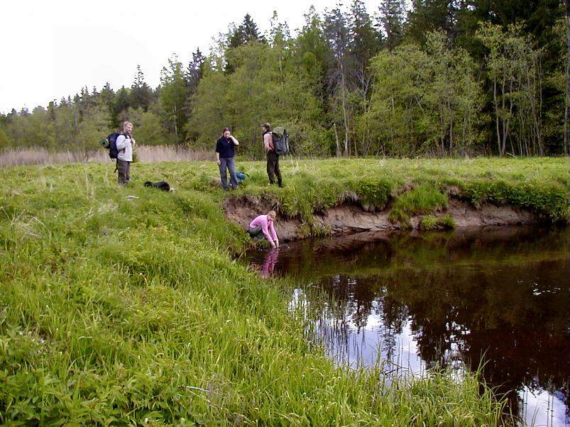 K��pa j�el mais 2004