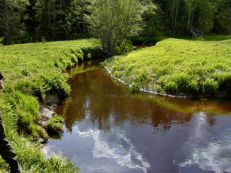 K��pa j�el mais 2004