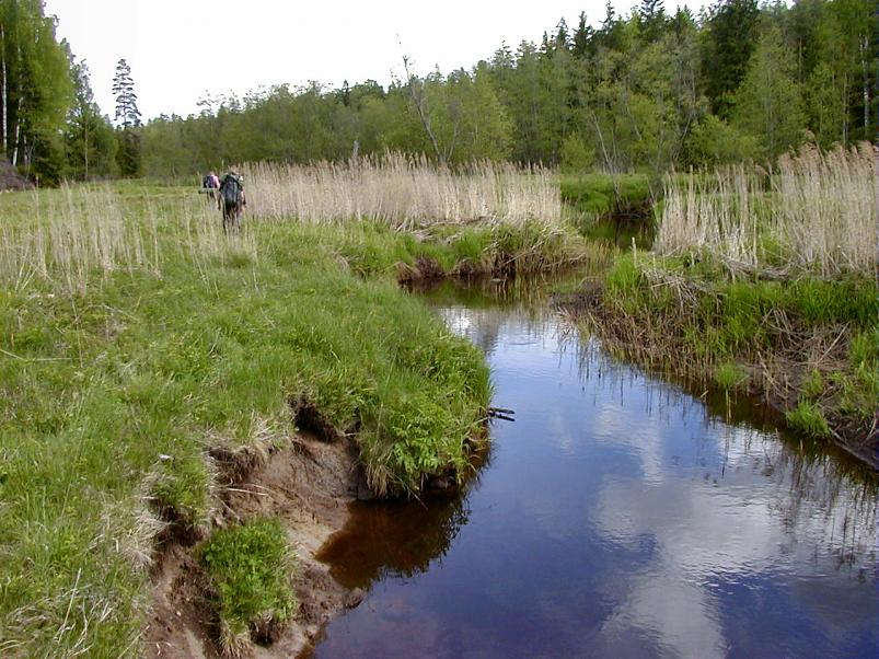 K��pa j�el mais 2004