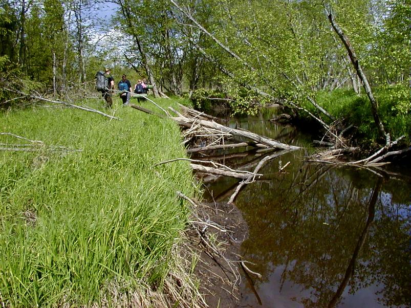 K��pa j�el mais 2004