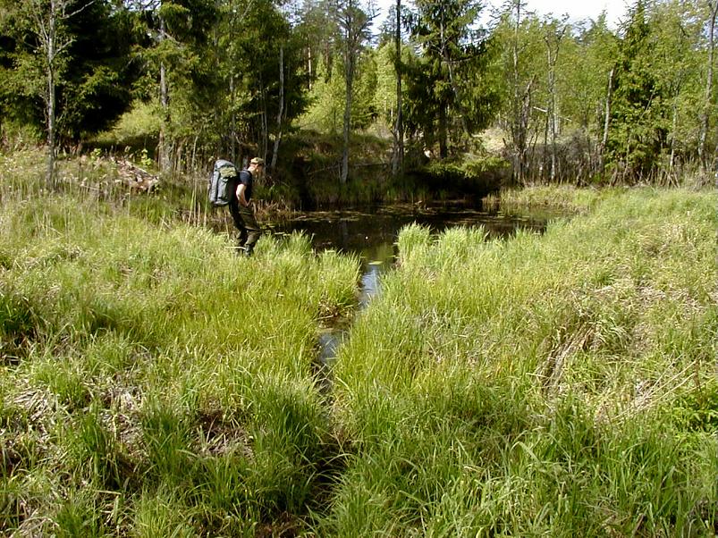 K��pa j�el mais 2004