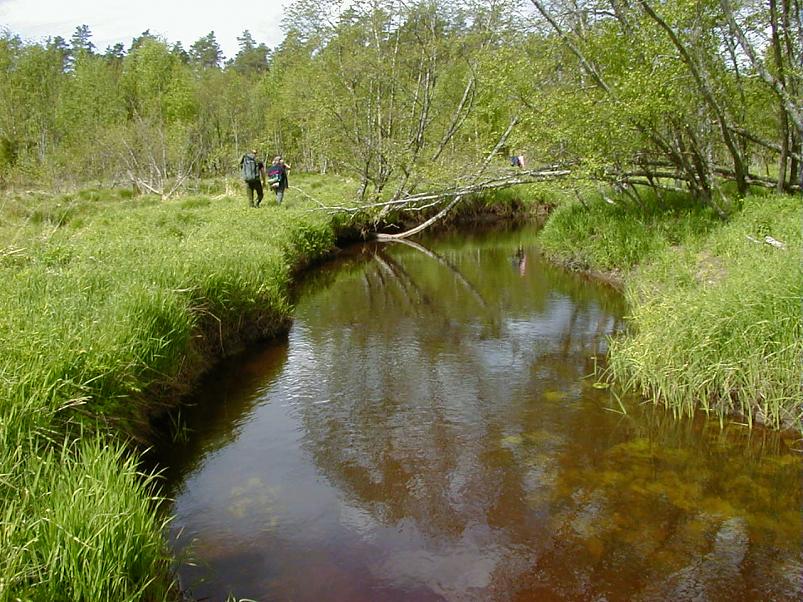 K��pa j�el mais 2004