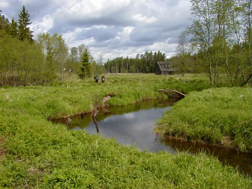 K��pa j�el mais 2004