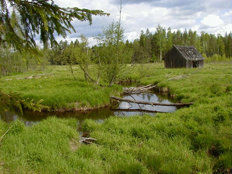 K��pa j�el mais 2004