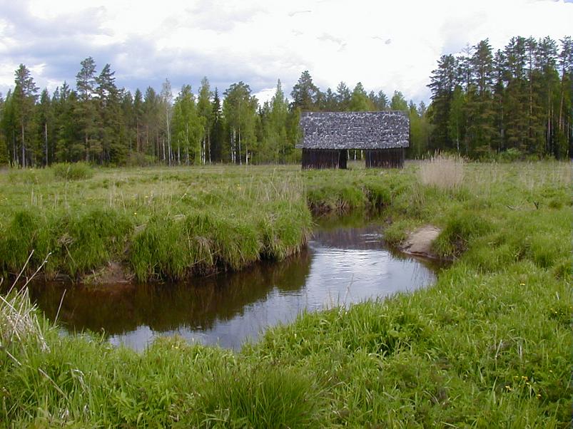 K��pa j�el mais 2004