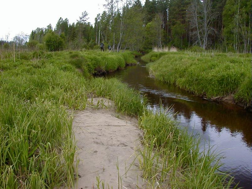 K��pa j�el mais 2004