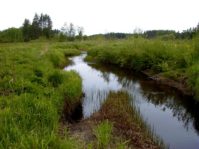 K��pa j�el mais 2004