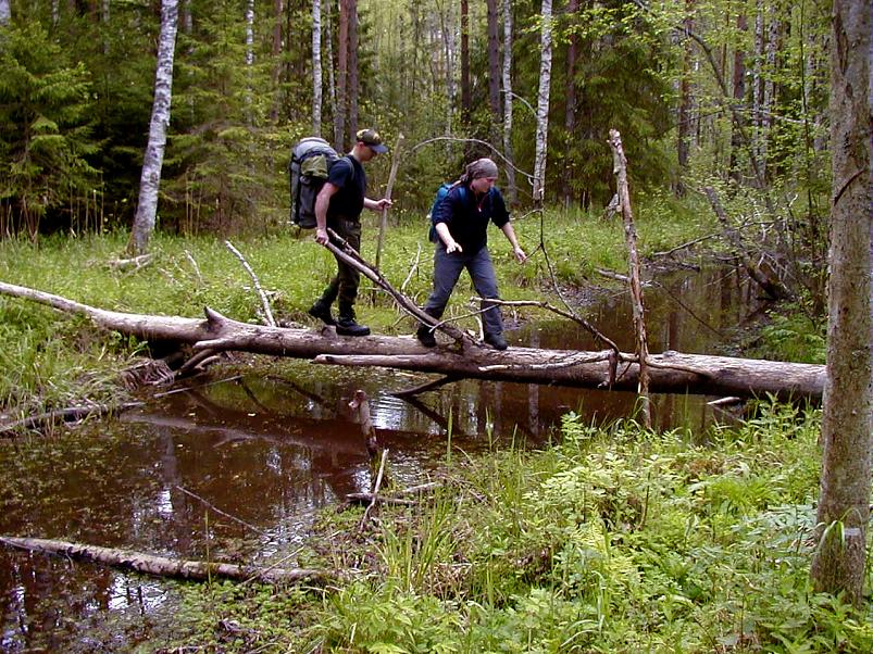 K��pa j�el mais 2004