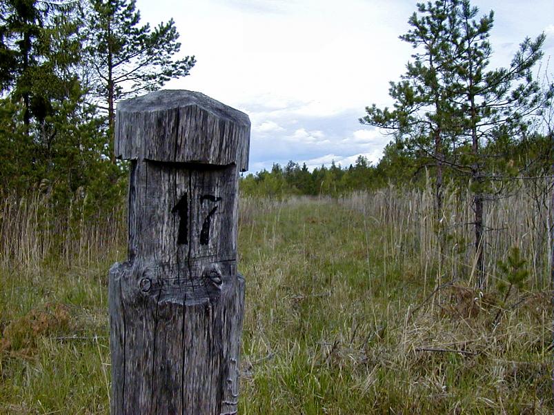 K��pa j�el mais 2004