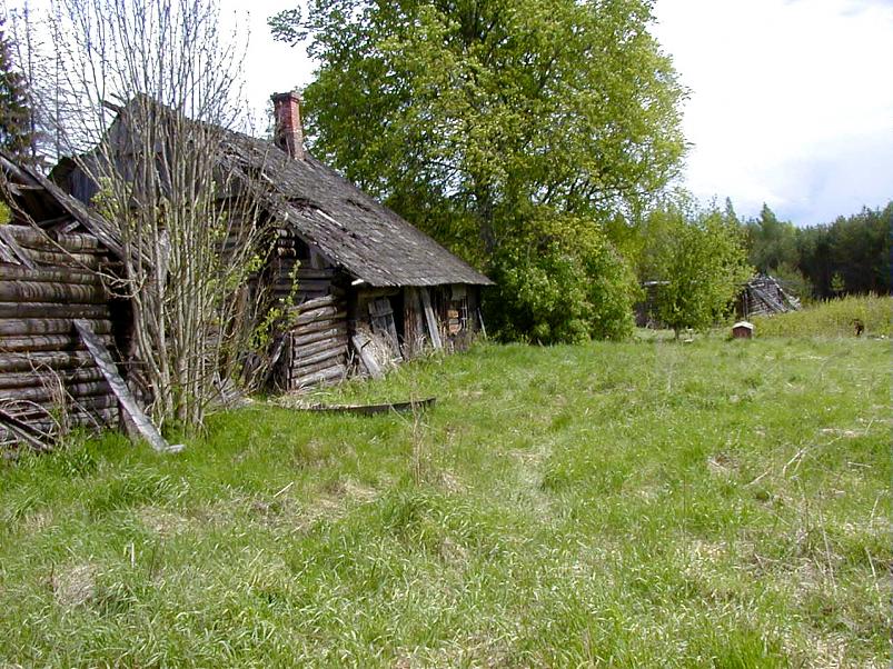 K��pa j�el mais 2004