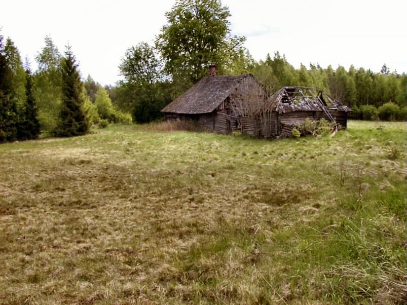 K��pa j�el mais 2004