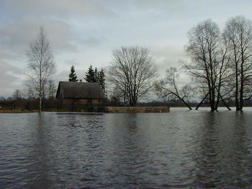 Halliste j�el m�rts 2004