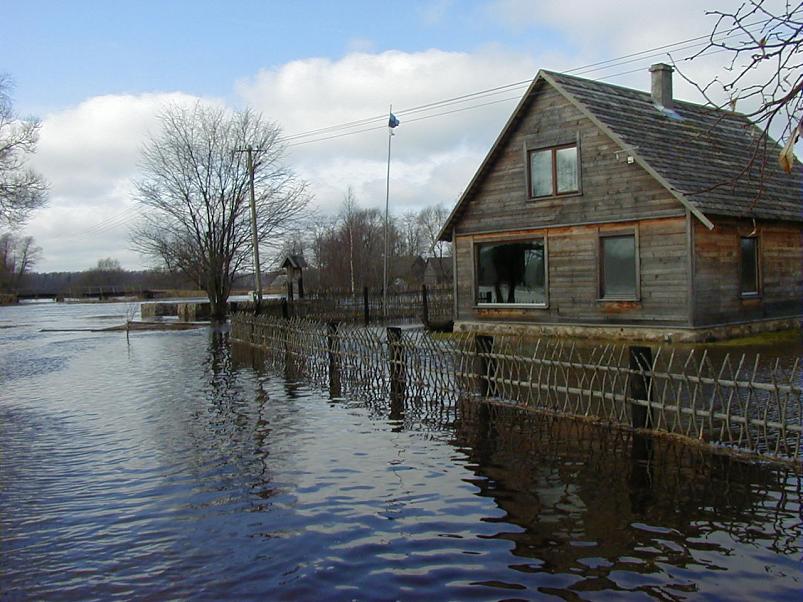 Halliste j�el m�rts 2004