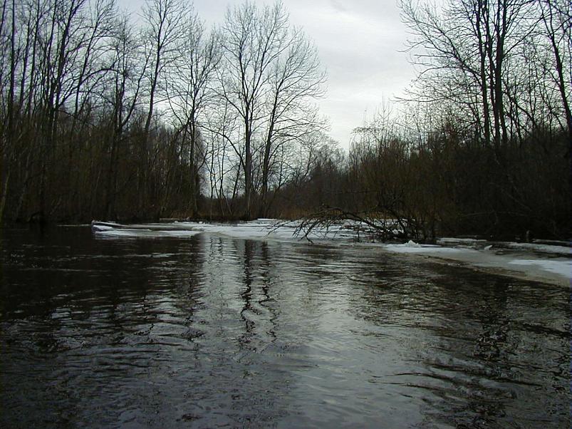 Halliste j�el m�rts 2004