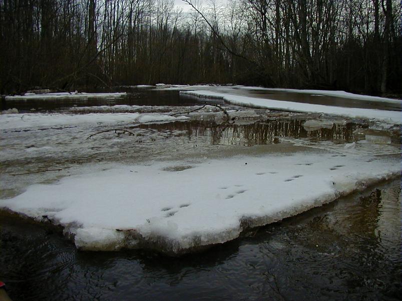 Halliste j�el m�rts 2004