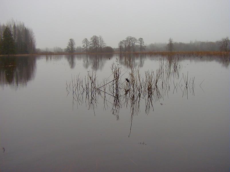 Halliste j�el m�rts 2004