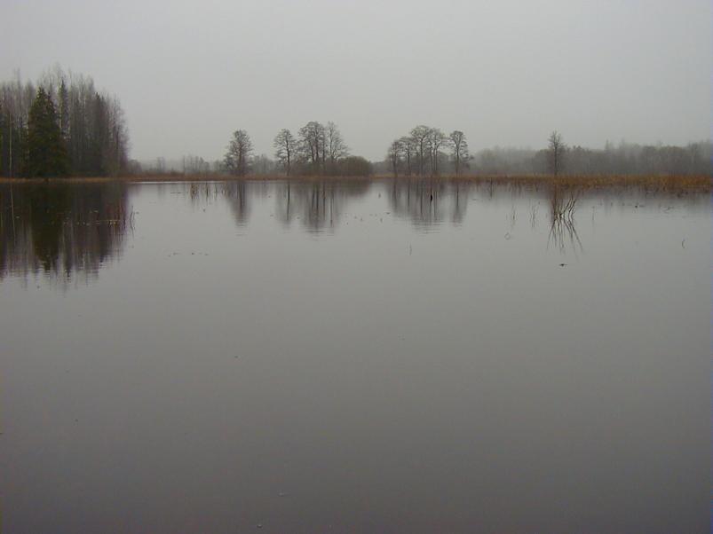 Halliste j�el m�rts 2004