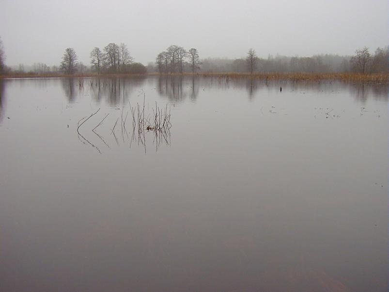 Halliste j�el m�rts 2004