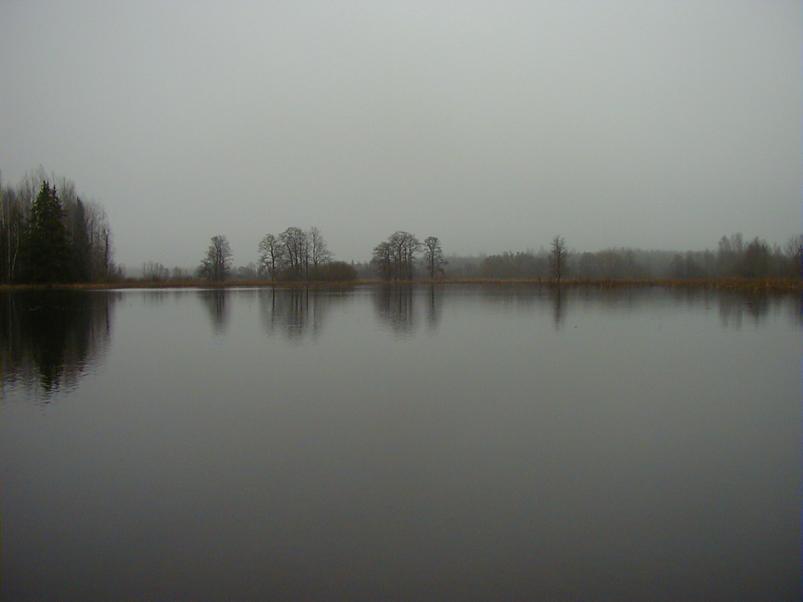 Halliste j�el m�rts 2004