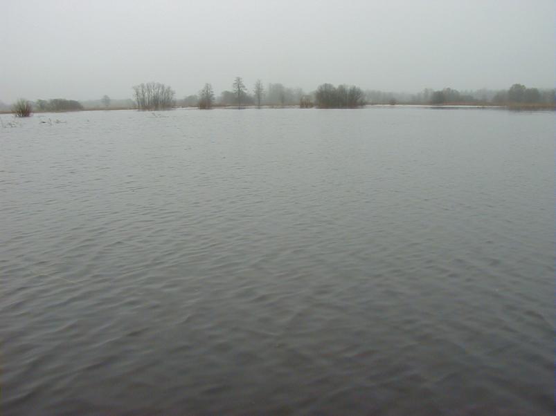 Halliste j�el m�rts 2004