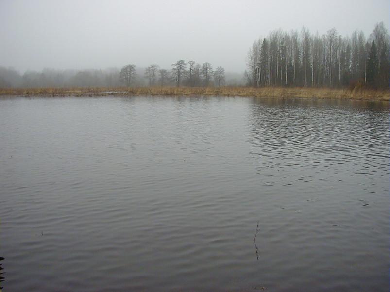 Halliste j�el m�rts 2004