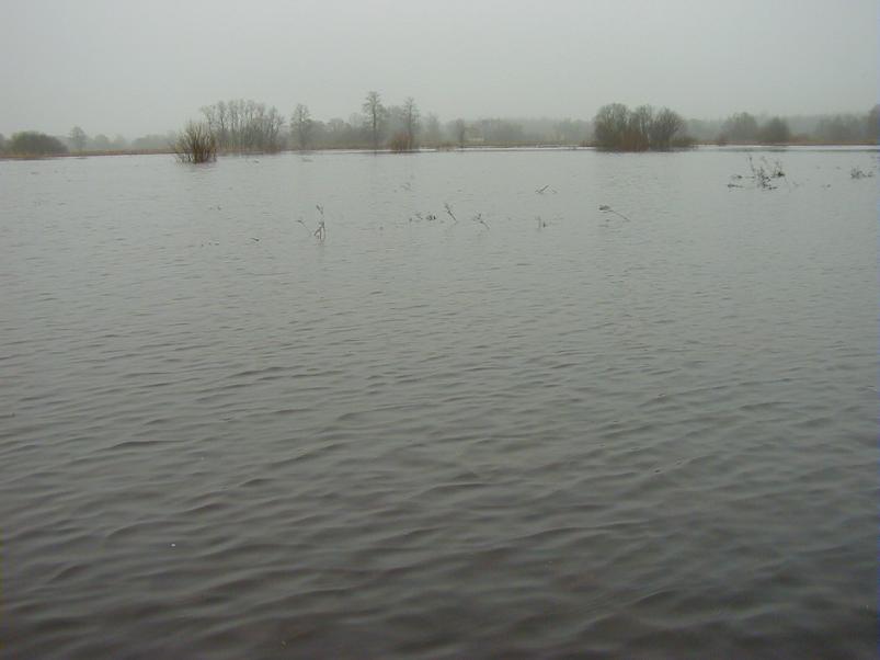 Halliste j�el m�rts 2004