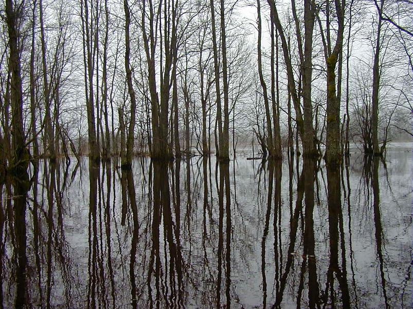 Halliste j�el m�rts 2004