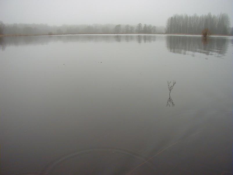 Halliste j�el m�rts 2004