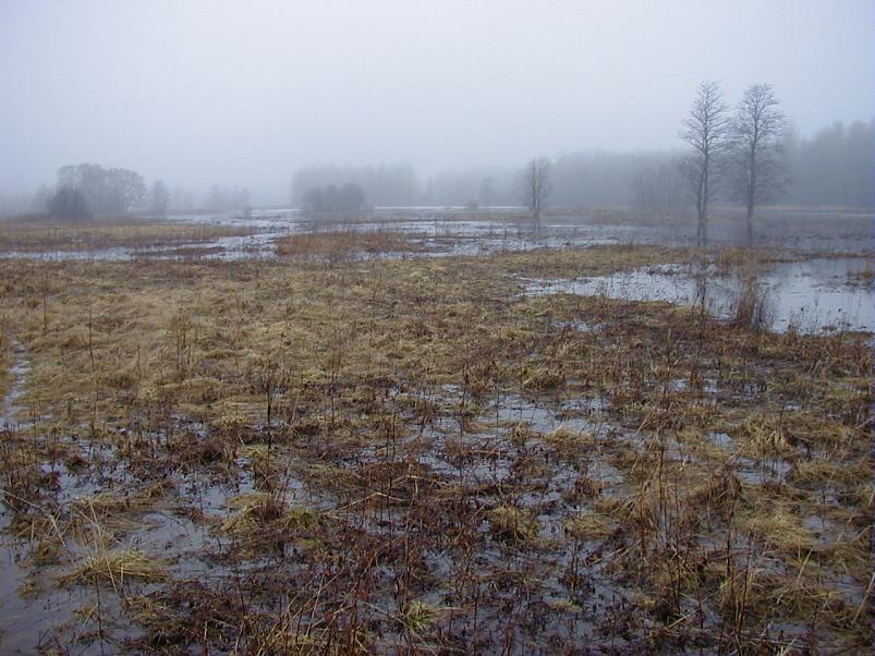 Halliste j�el m�rts 2004