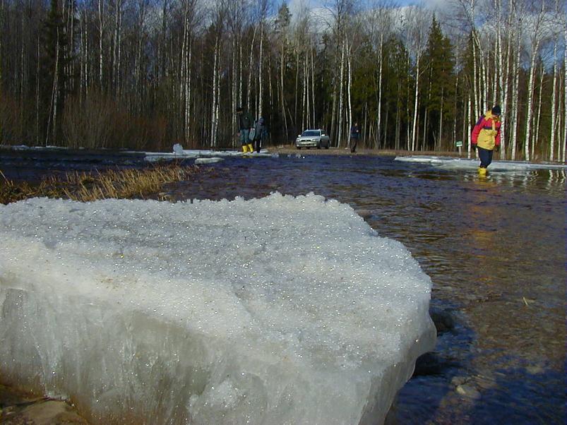 Halliste j�el m�rts 2004