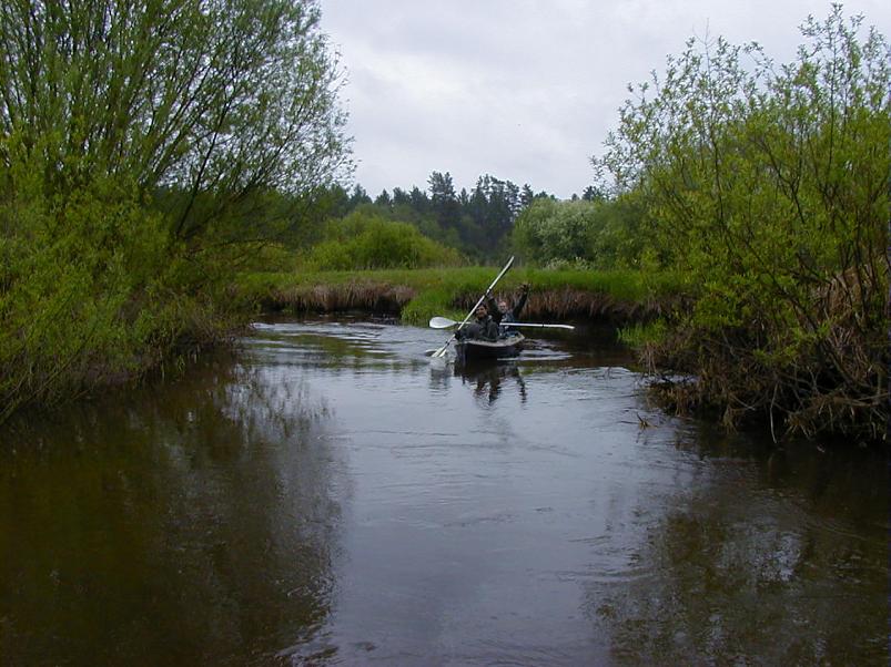 Raudna j�el kevad 2003