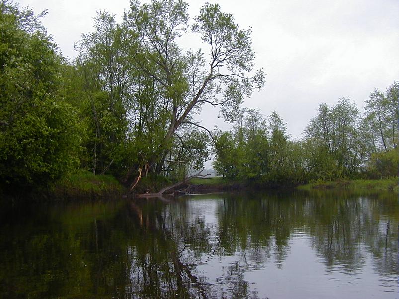 Raudna j�el kevad 2003