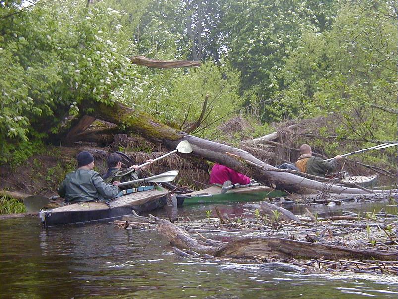 Raudna j�el kevad 2003