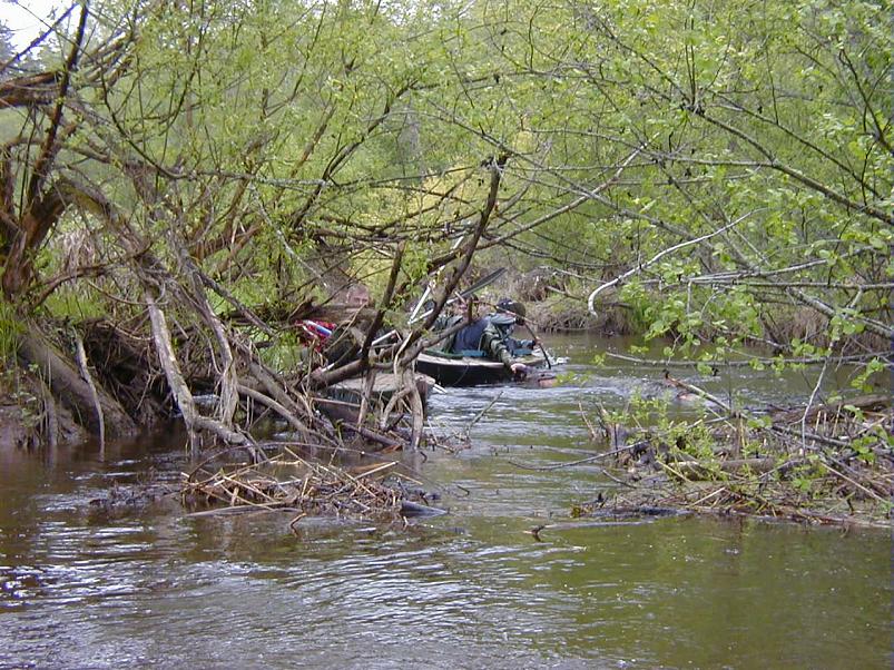 Raudna j�el kevad 2003