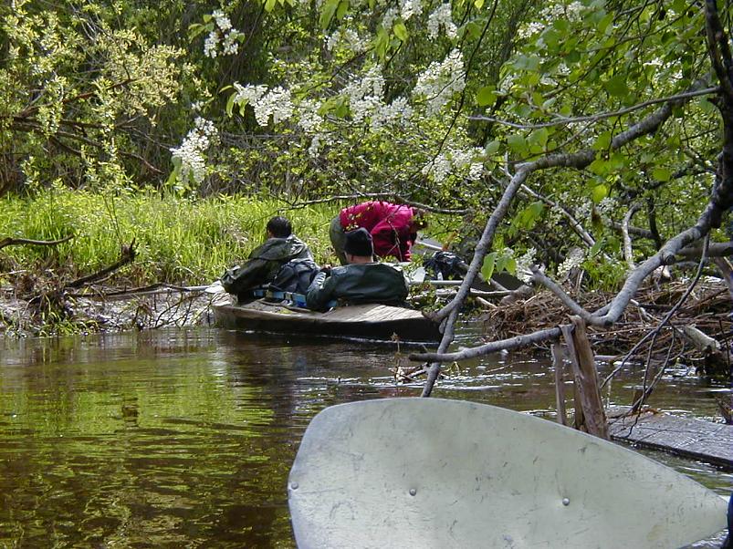 Raudna j�el kevad 2003