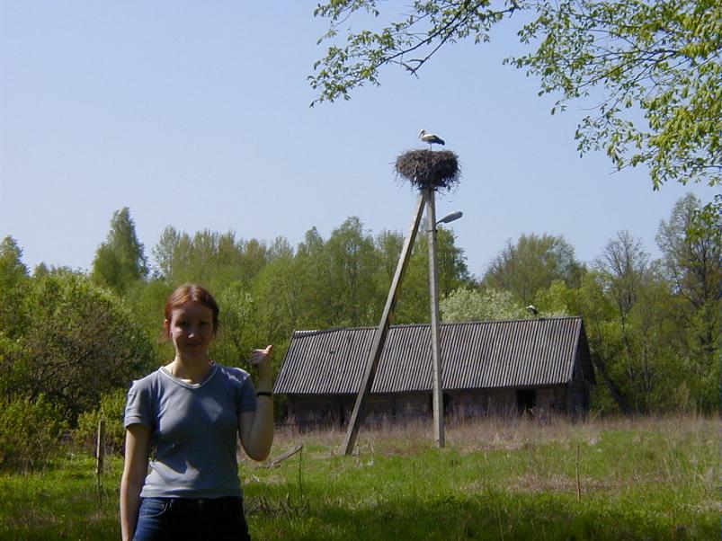 Raudna j�el kevad 2003