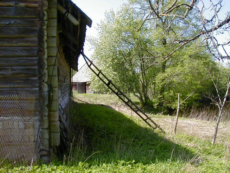 Raudna j�el kevad 2003