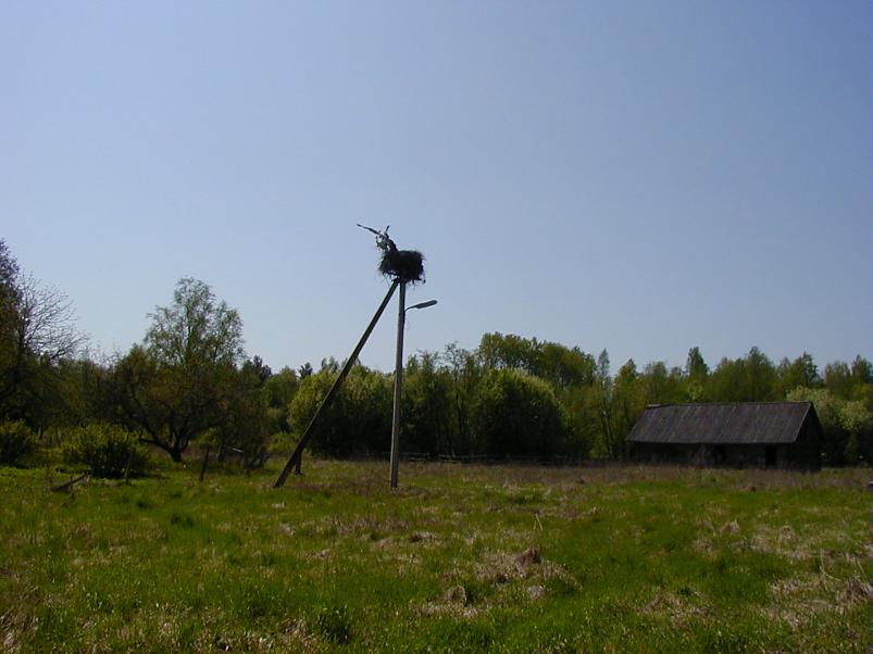 Raudna j�el kevad 2003