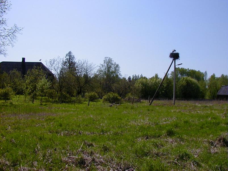 Raudna j�el kevad 2003