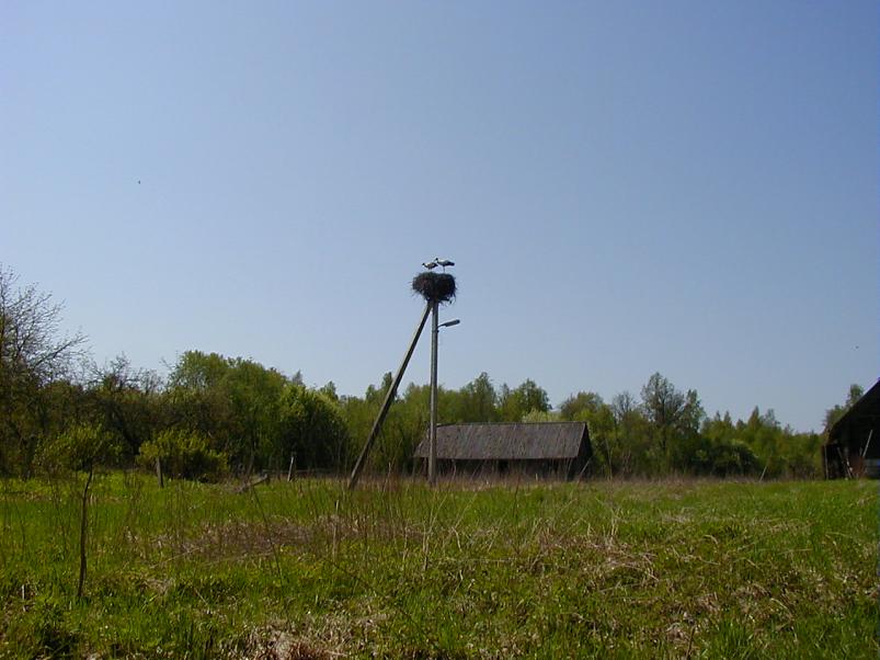 Raudna j�el kevad 2003