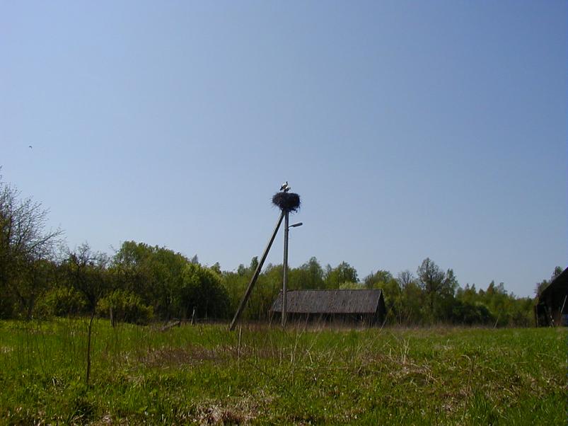 Raudna j�el kevad 2003