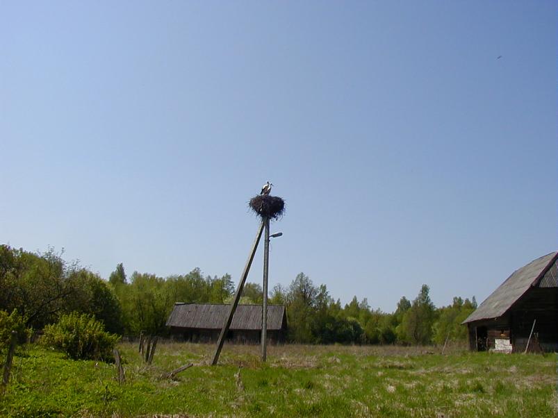 Raudna j�el kevad 2003