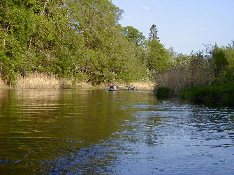 Raudna j�el kevad 2003