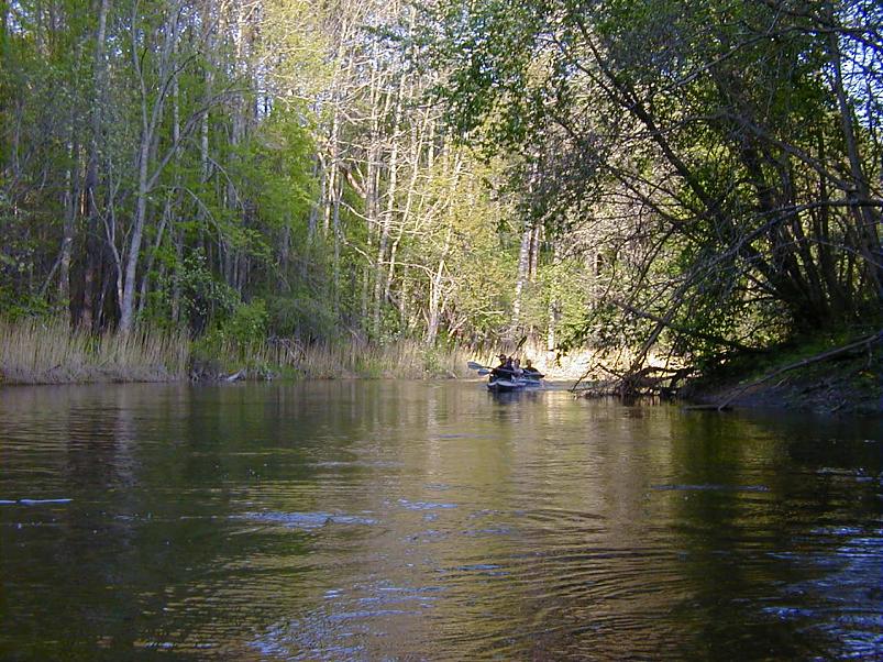 Raudna j�el kevad 2003