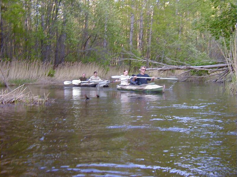 Raudna j�el kevad 2003