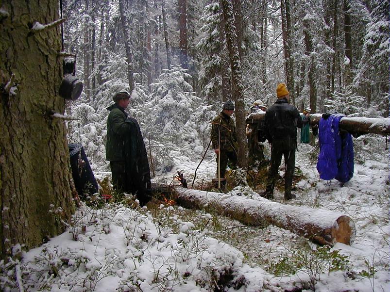 Sirtsu rabas dets. 2002