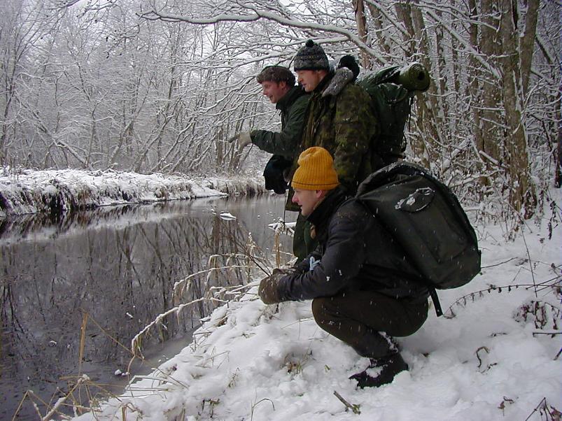 Sirtsu rabas dets. 2002